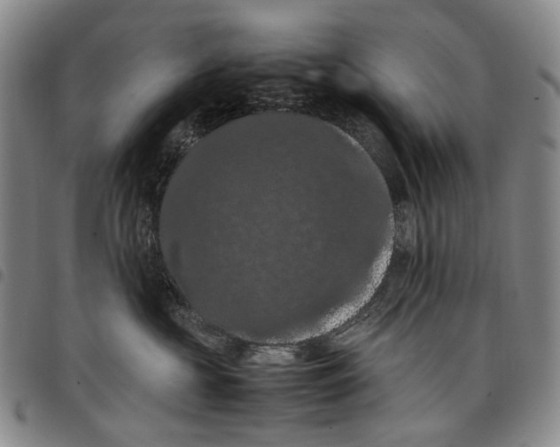 X0000098000573200804141210