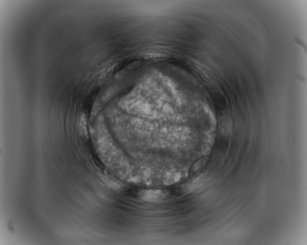 X0000098000575200804141210