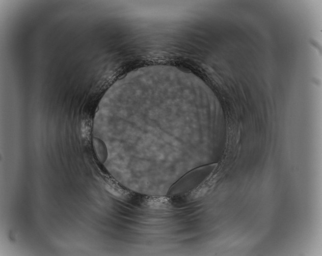 X0000098000576200804141210
