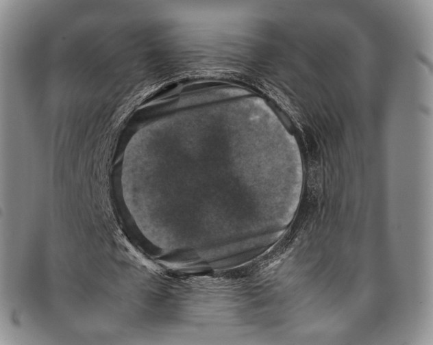 X0000098000577200804141209