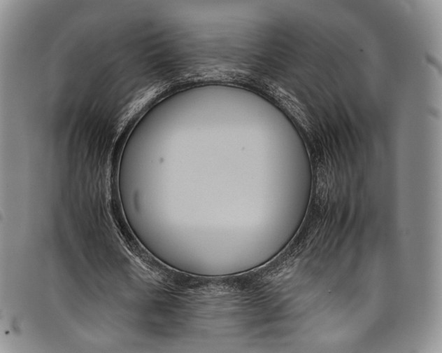 X0000098000578200804141209