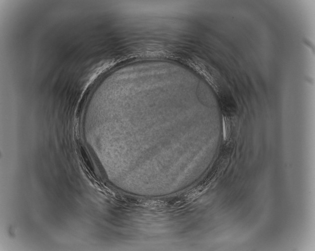 X0000098000579200804141209