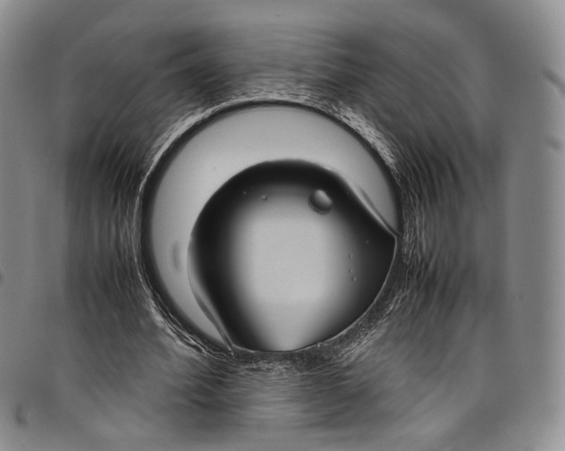 X0000098000580200804141209