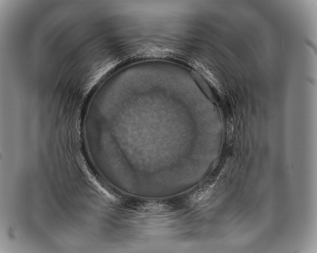X0000098000581200804141209