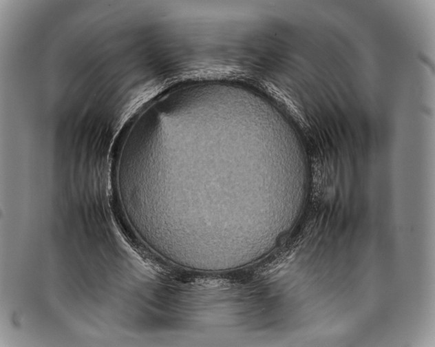 X0000098000582200804141209