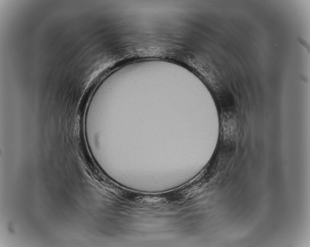 X0000098000583200804141209