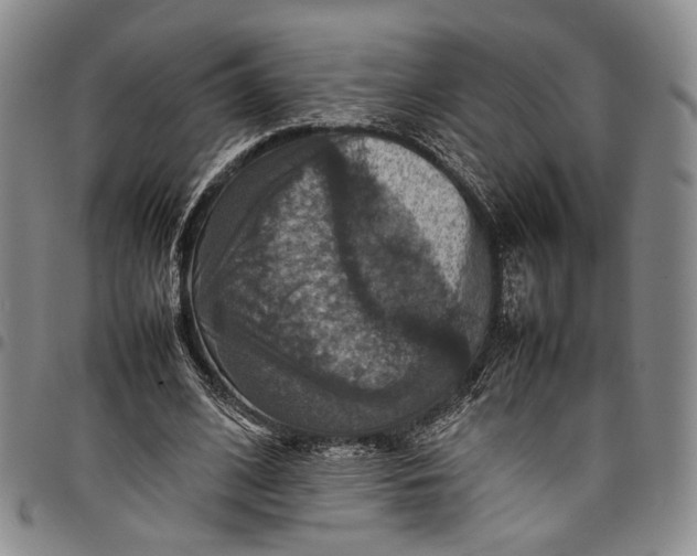 X0000098000584200804141209