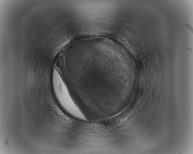 X0000098000585200804141209