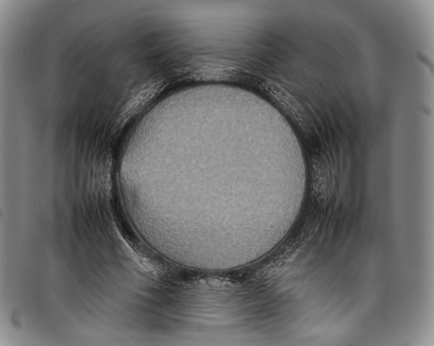 X0000098000586200804141209