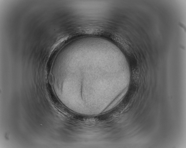 X0000098000587200804141209