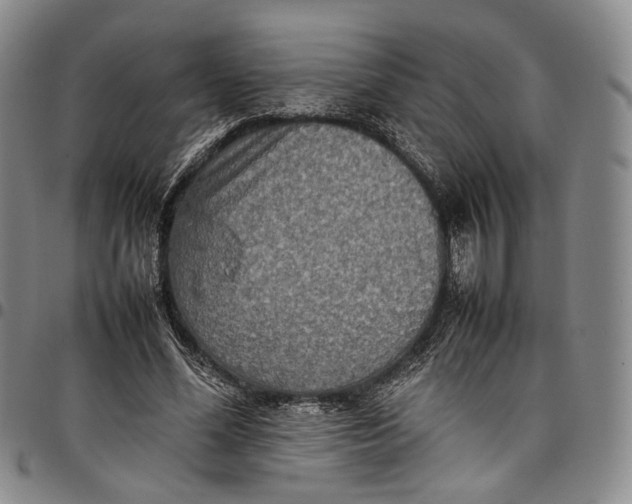 X0000098000588200804141209