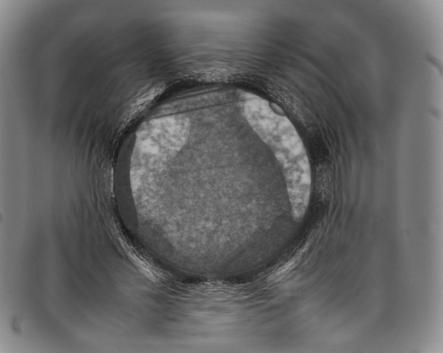 X0000098000589200804141209