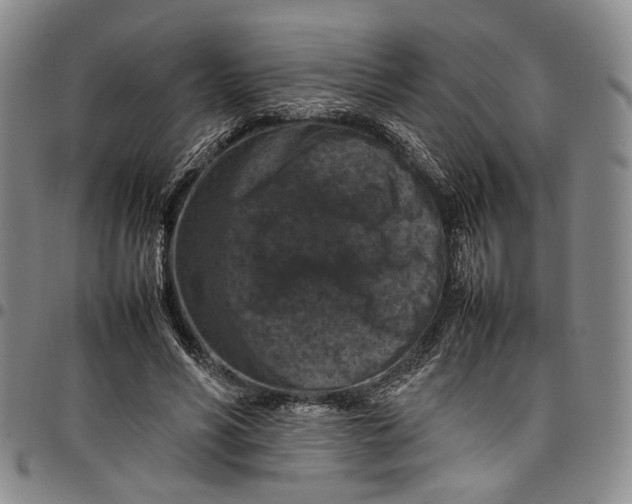 X0000098000590200804141209