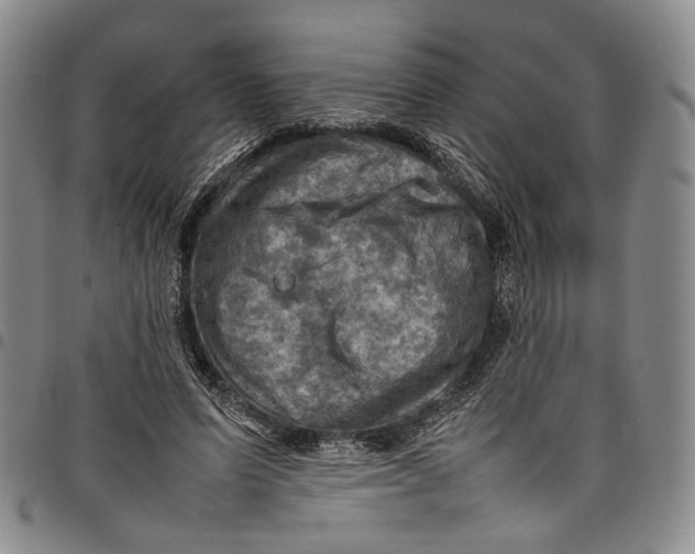 X0000098000591200804141209