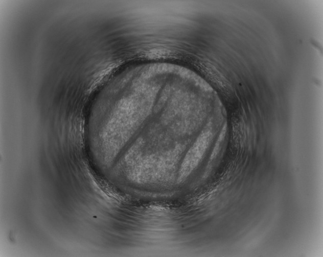 X0000098000592200804141209