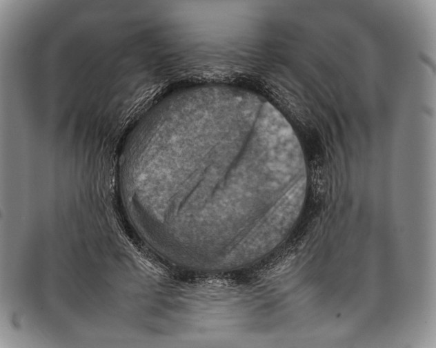X0000098000593200804141209