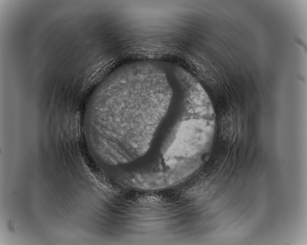 X0000098000594200804141209