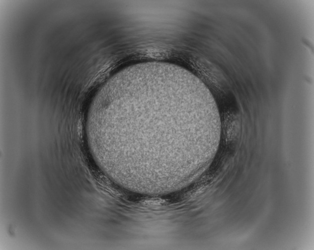 X0000098000595200804141209