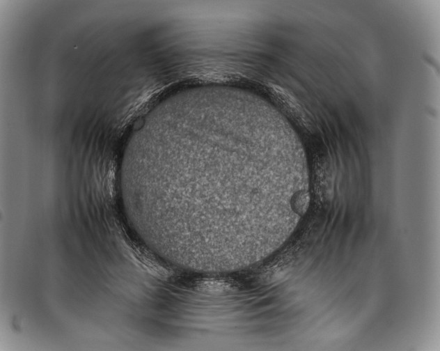 X0000098000596200804141209