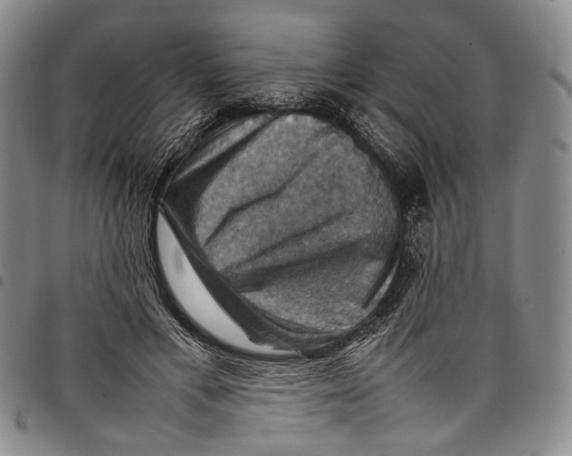 X0000098000597200804141209