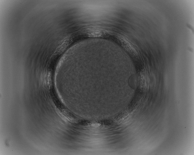 X0000098000598200804141209