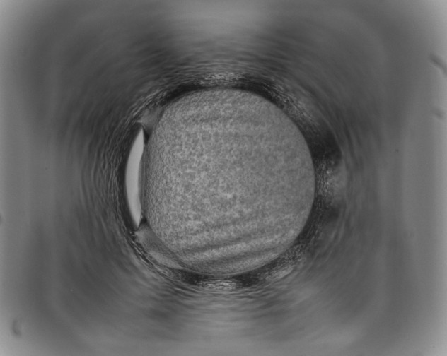 X0000098000599200804141209