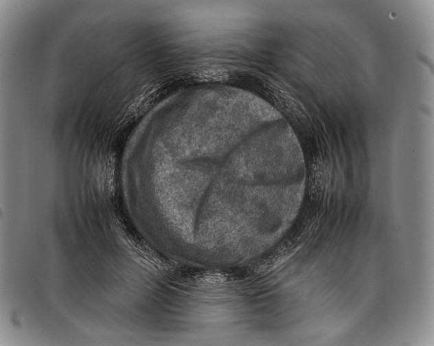X0000098000600200804141209