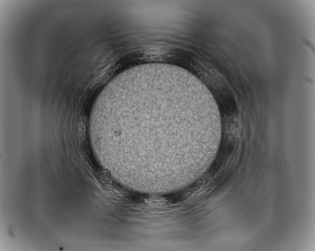 X0000098000603200804141208