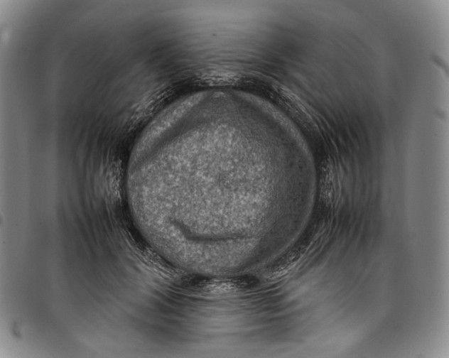 X0000098000604200804141208