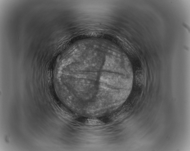 X0000098000605200804141208
