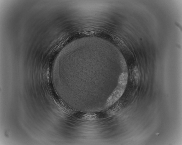 X0000098000606200804141208