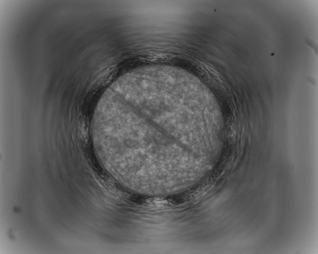X0000098000607200804141208