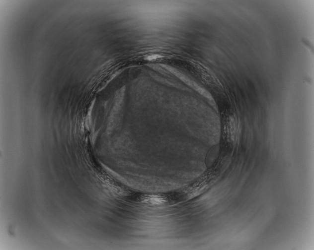 X0000098000610200804141208