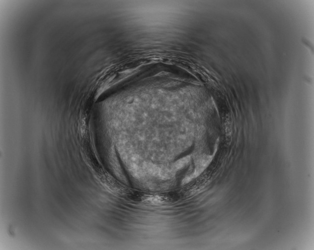 X0000098000611200804141208