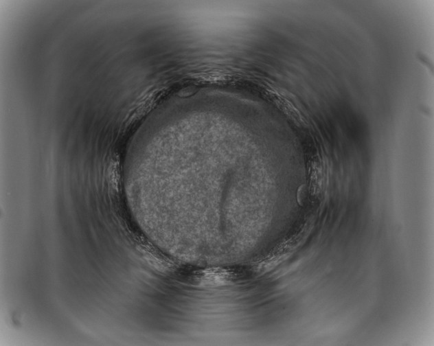 X0000098000612200804141208