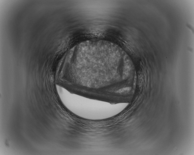 X0000098000613200804141208