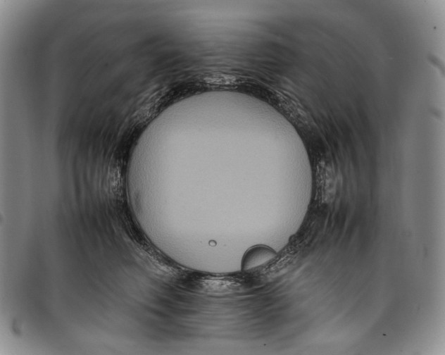 X0000098000614200804141208