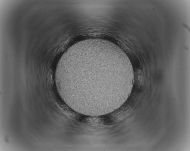 X0000098000615200804141208