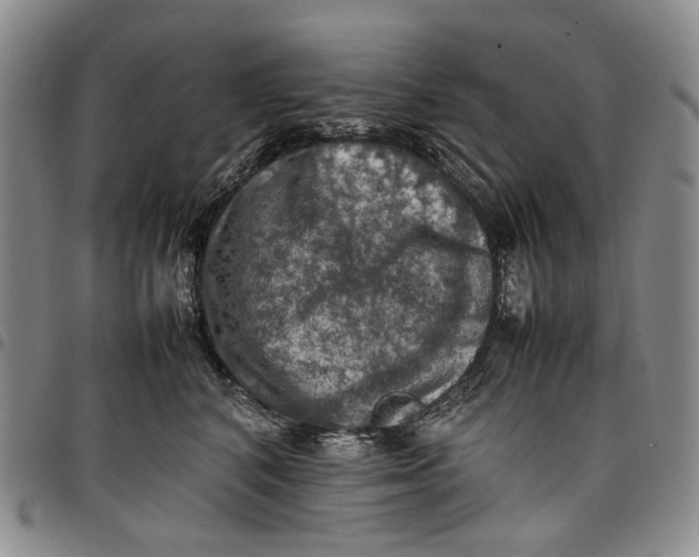 X0000098000616200804141208