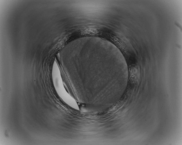 X0000098000617200804141208