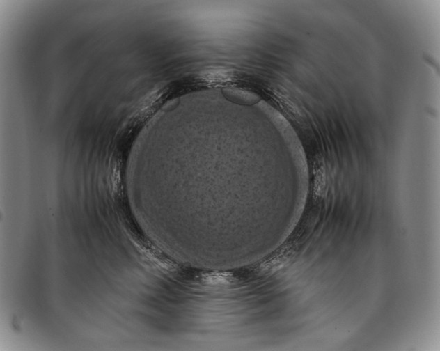 X0000098000618200804141208