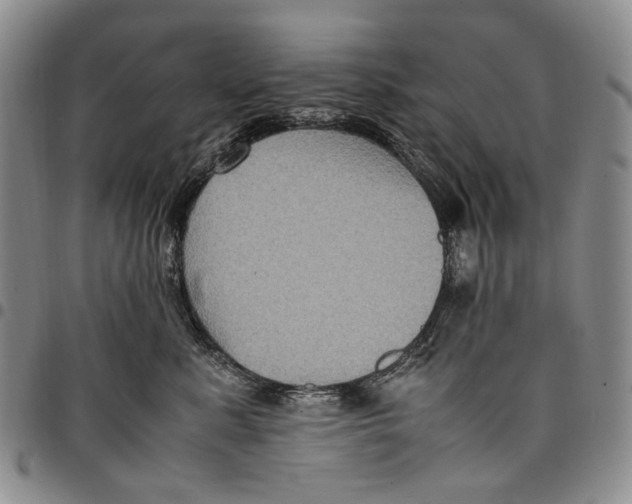 X0000098000619200804141208