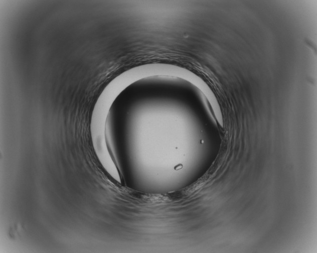 X0000098000621200804141208