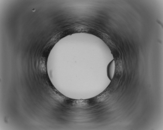X0000098000622200804141208