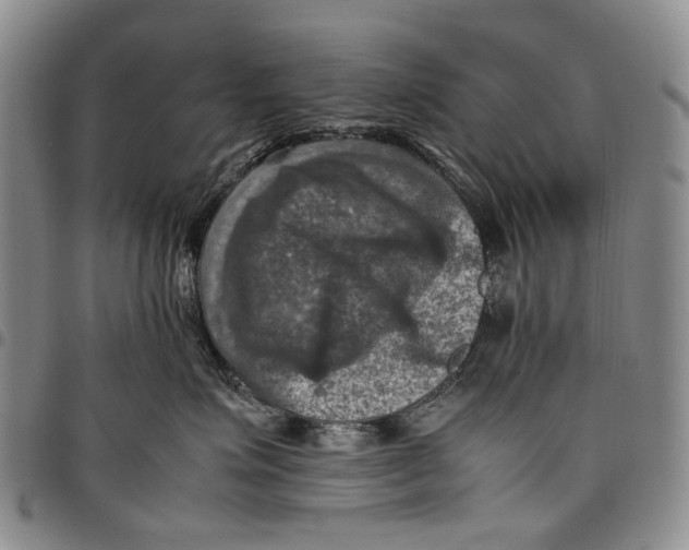 X0000098000623200804141208