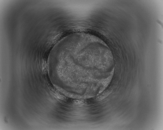 X0000098000624200804141208