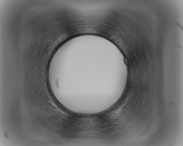 X0000098000625200804141208