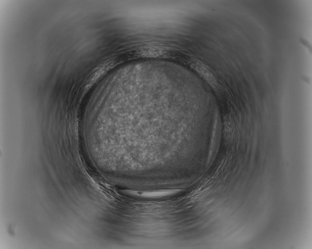 X0000098000626200804141208