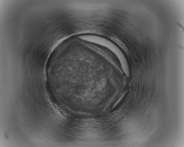 X0000098000628200804141208