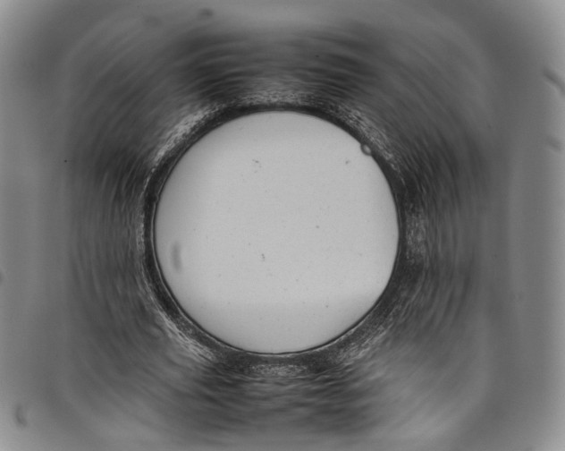 X0000098000629200804141208